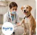 Cyber Animal Clinic